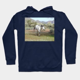 Wild horses, wildlife, gifts, Arizona, Wild Spirit Hoodie